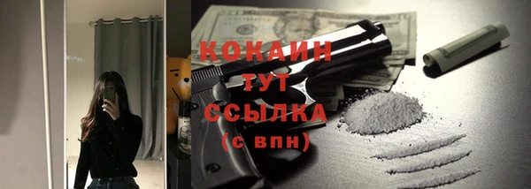 прущий лед Пестово