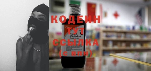 ешки Пересвет