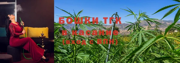 прущий лед Пестово