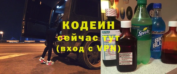 ешки Пересвет