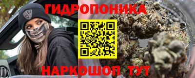 стаф Берёзовский