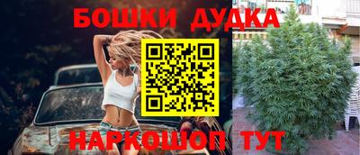 стаф Берёзовский