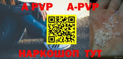 стаф Берёзовский