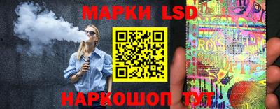 стаф Берёзовский