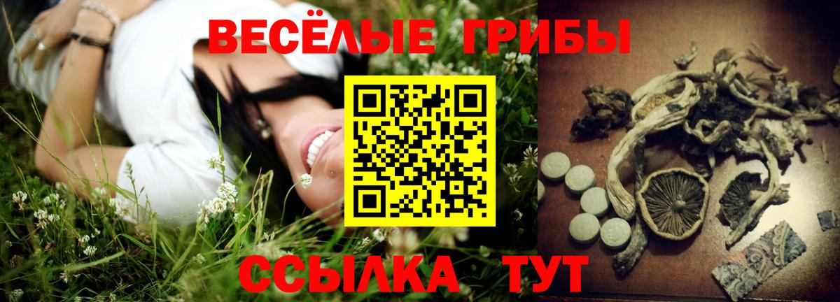 Галлюциногенные грибы Magic Shrooms  Вход с VPN  Галлюциногенные грибы мицелий  Ульяновск 