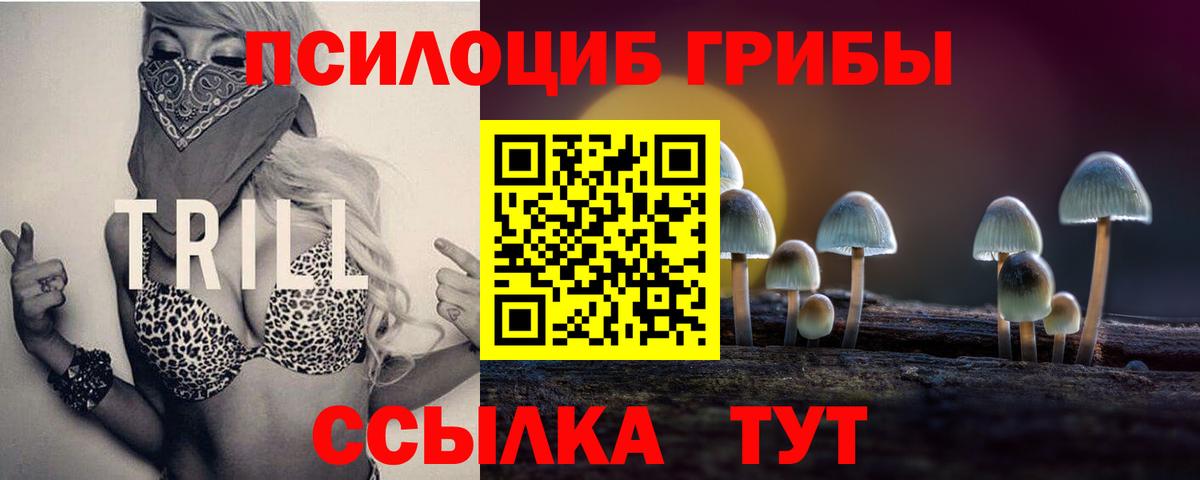 купить наркотики цена  Ульяновск  Галлюциногенные грибы Psilocybine cubensis 